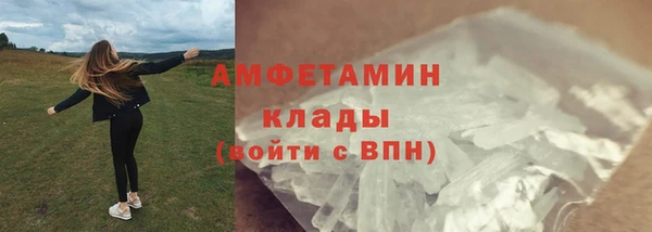 дживик Абаза