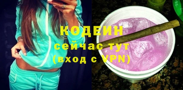 дживик Абаза