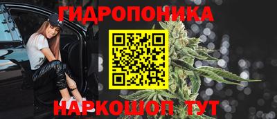 спиды Кимры