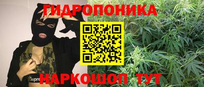 шишки Комсомольск-на-Амуре