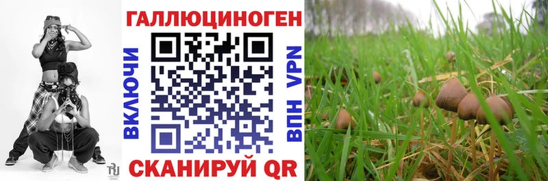 Галлюциногенные грибы Cubensis  продажа наркотиков  Кострома 