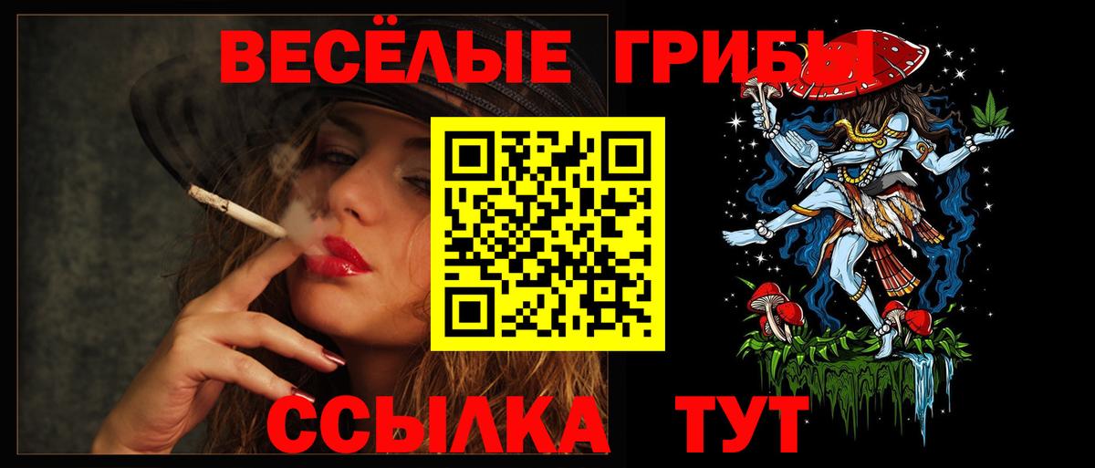 Кострома  Псилоцибиновые грибы ЛСД  Вход с VPN 